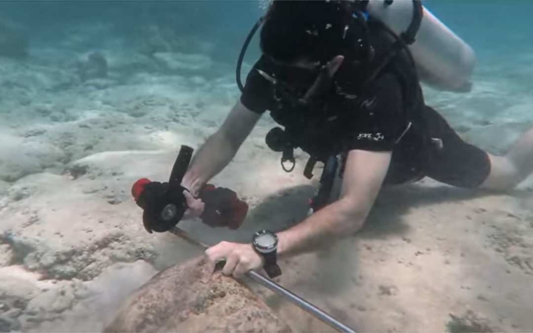 Nemo Underwater Power Tools Demo: Angle Grinder and Hammer Drill
